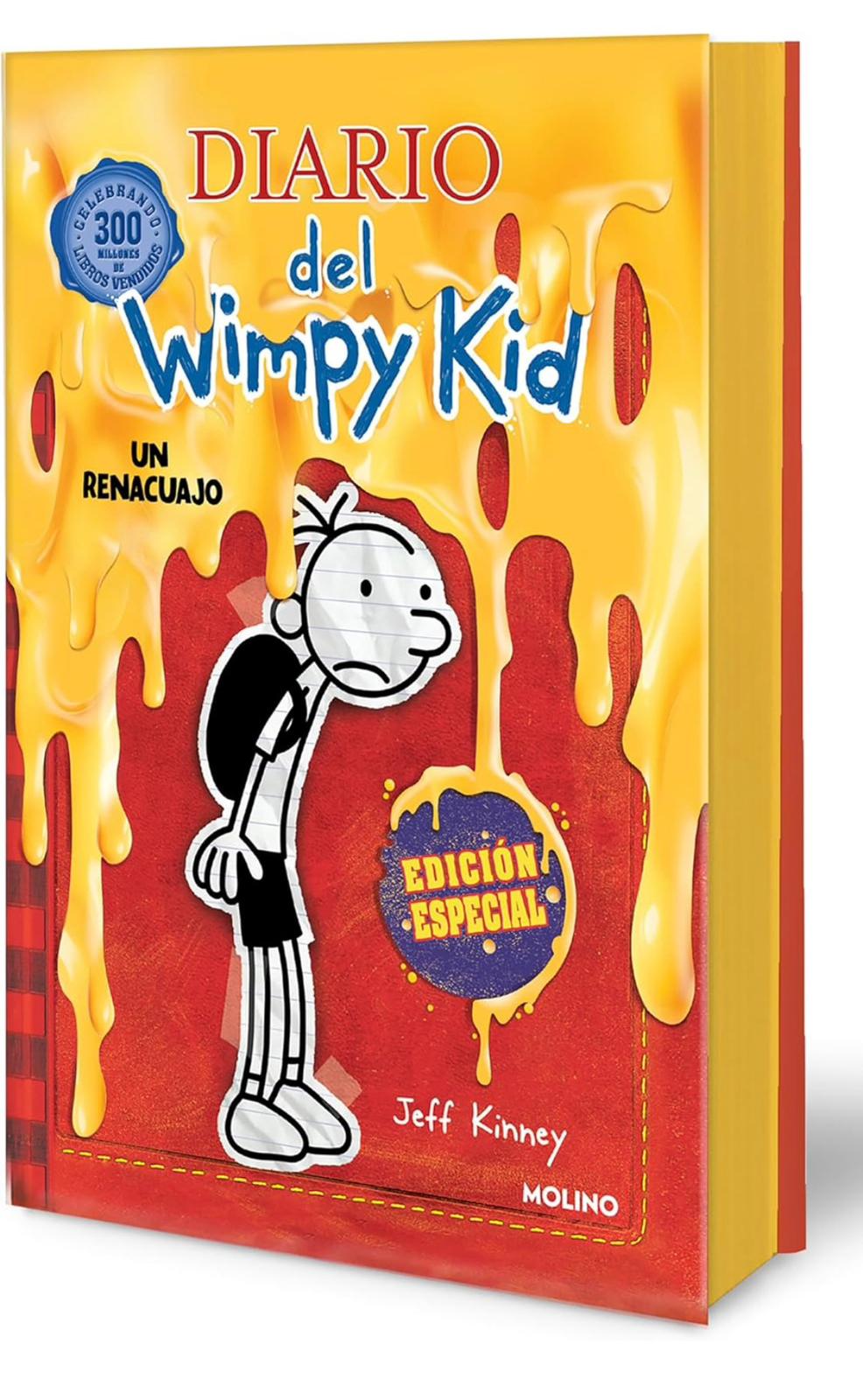 Diario Wimpy Kid 1